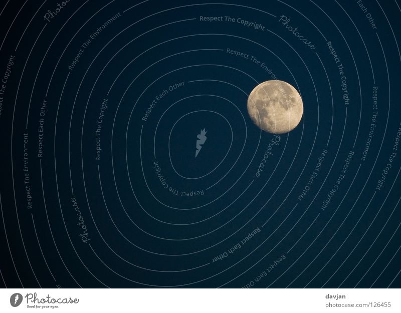 moon Volcanic crater Full  moon Night Dark Light Black Familiar Beautiful Celestial bodies and the universe Winter Moon Structures and shapes darkness Bright