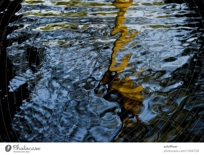 Spreedorado | Watermark River Blue Brown Black Surface of water watermark Water reflection Reflection Structures and shapes Spreewald Dahme-Spreewald