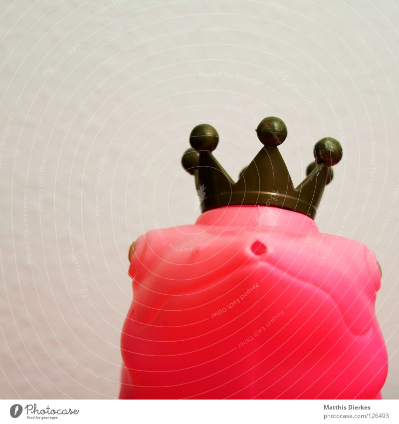 Dignified Frog Prince Watering can White Pink Red Fairy tale Animal Things Good mood Exhibition Interesting Exciting Obscure Household king crown Treetop Mouth