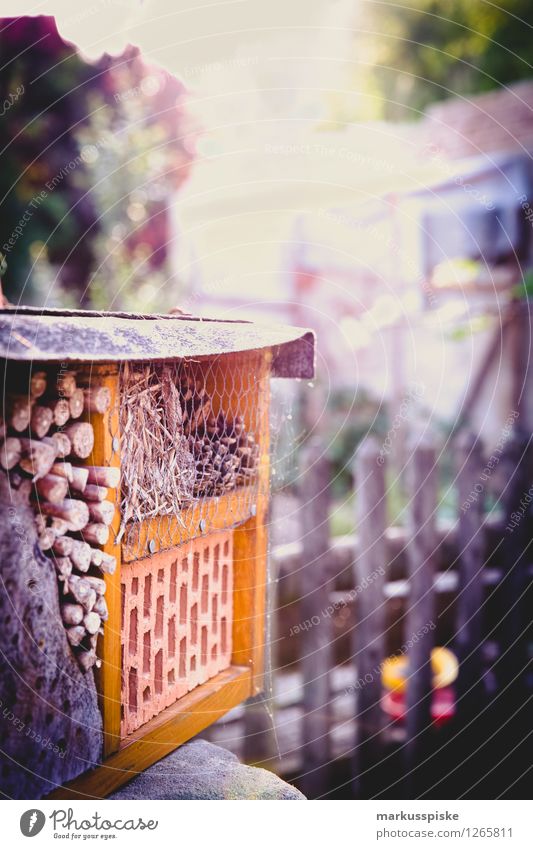 insect hotel Leisure and hobbies Vacation & Travel Tourism Living or residing Flat (apartment) House (Residential Structure) Garden Environment Nature Plant