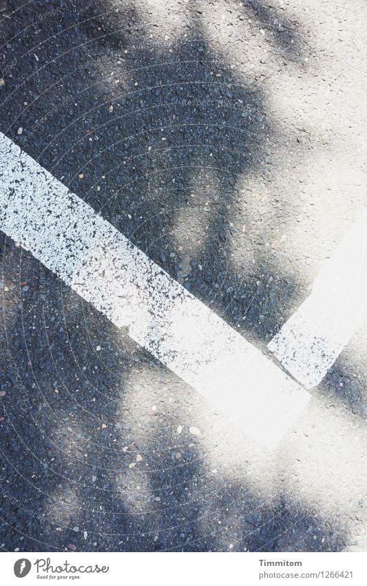 Road Picture...Move On Down The Road Street Signs and labeling Line Esthetic Simple Gray White Clarity Light Shadow Asphalt Subdued colour Colour photo