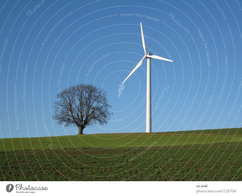 David and Goliath Tree Wind energy plant Sky Meadow Field Nature Landscape Electricity Green White Blue