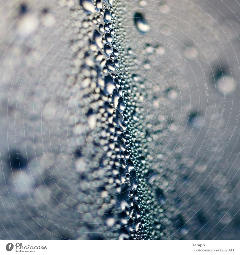 Droplets water drops of water condense Structures and shapes background picture Shallow depth of field stage lighting ridiculed point condensation rain