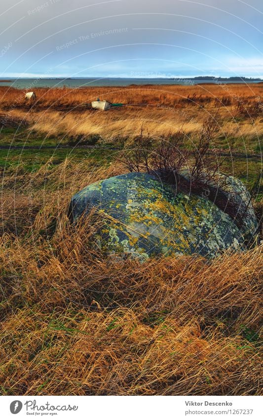 Chopped in half a large stone in the yellow grass and boat Beach Ocean Island Rope Nature Landscape Sky Horizon Wind Grass Rock Coast Lake Watercraft Stone Old