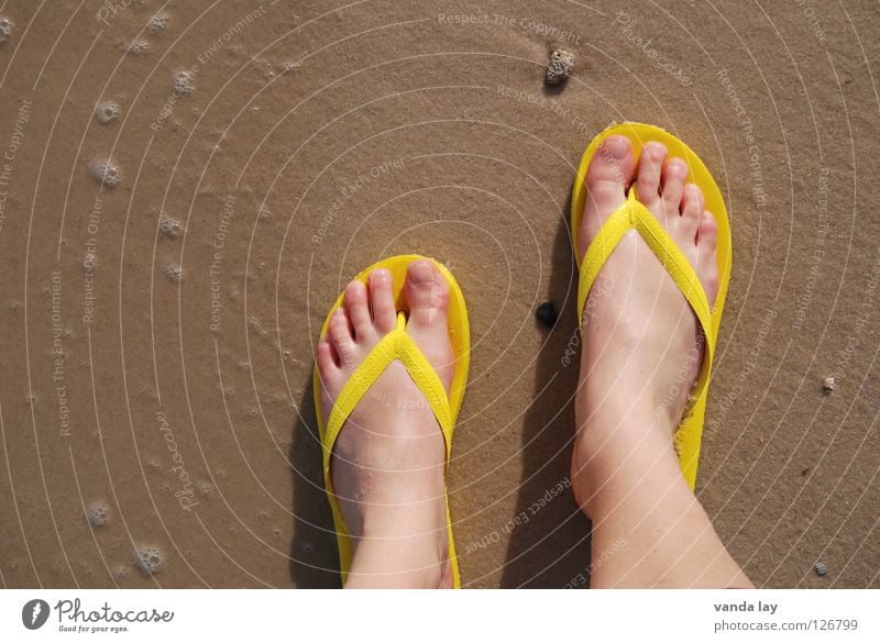 sandpiper Flip-flops Beach shoes Toes Ocean Summer Vacation & Travel Yellow Footwear Pebble Bird's-eye view Woman Summer vacation Summer shoe Sandal Clothing