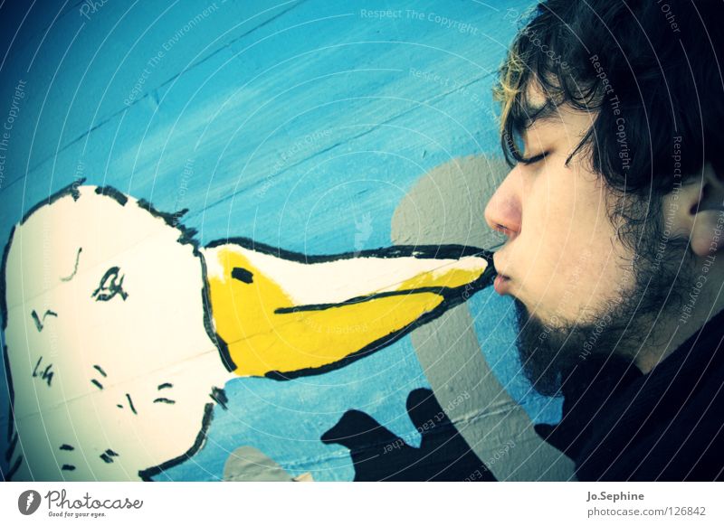 kiss the goose Man Adults birds Touch Kissing Love Cute Sweet Love of animals Goose Poultry Pout Affection Absurdity Exterior shot Beak Mural painting