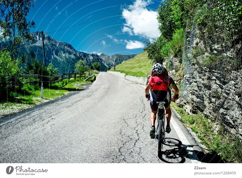 transalp Vacation & Travel Adventure Cycling tour Summer Summer vacation Sports Bicycle Mountain bike Man Adults 45 - 60 years Nature Landscape Sky