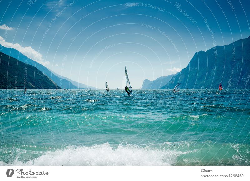 lago di garda Lifestyle Leisure and hobbies Surfing Vacation & Travel Freedom Summer Summer vacation Sports Aquatics Nature Landscape Cloudless sky