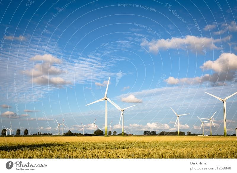 Wind power and agriculture Technology Science & Research Advancement Future Energy industry Renewable energy Wind energy plant Energy crisis Industry