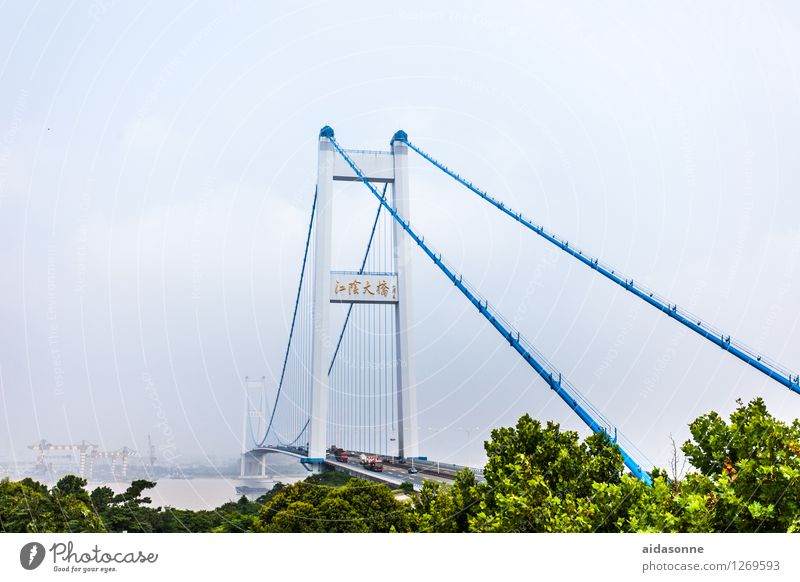 Suspension bridge in Jiangyin Town Bridge Movement Jiangsu Car bridge jangtze River Colour photo Exterior shot Deserted Day Long shot