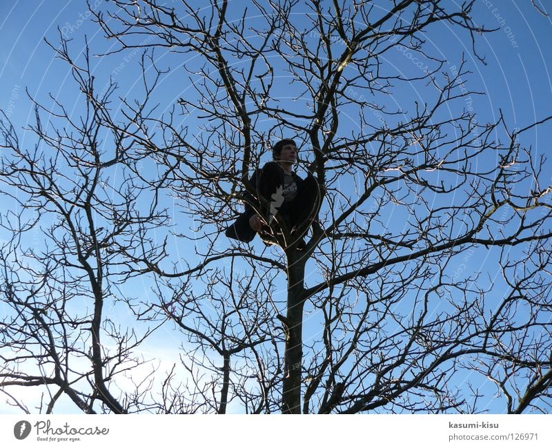 alone Tree Man Winter Brown Loneliness Trust Branch Sky Climbing Blue
