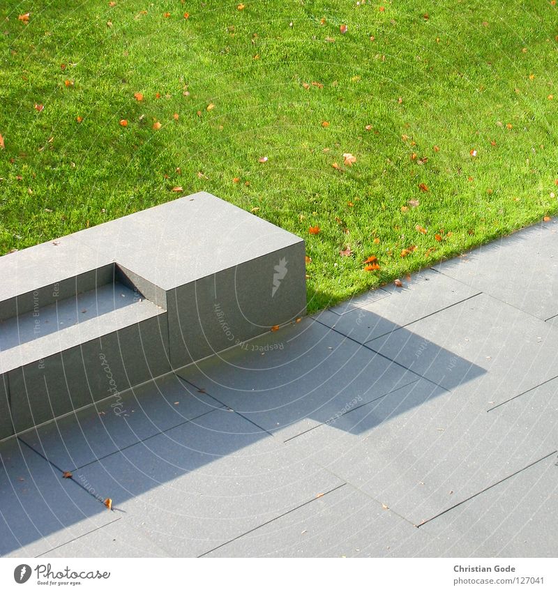 haemorrhoid nursery Park Summer Meadow Slope Art Green Gray Afternoon Visitor Seating Stone bench Park bench Stone slab Leaf Brown Diagonal Bird's-eye view
