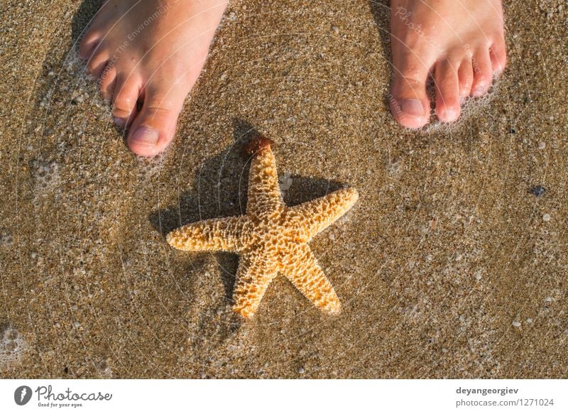 Starfish and feet on the beach Design Body Relaxation Vacation & Travel Summer Sun Beach Ocean Human being Girl Woman Adults Feet Nature Sand Coast Blue water