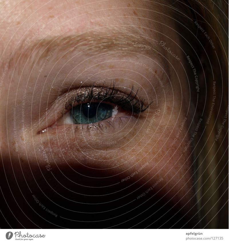 freckle Happiness Pupil Black Contact lense Make-up Eyelash Eyebrow Freckles Woman Friendliness Curiosity Blonde Mysterious Joy Macro (Extreme close-up)
