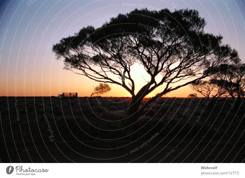 outback Australia Outback Sunset Nature