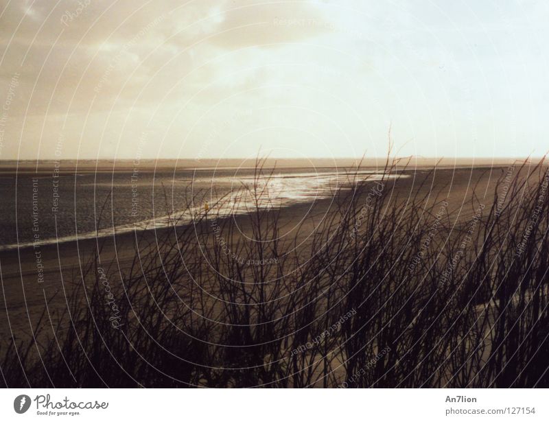 The sea is coming Ocean Low tide Ameland Dark Clouds Beach Coast High tide Bright