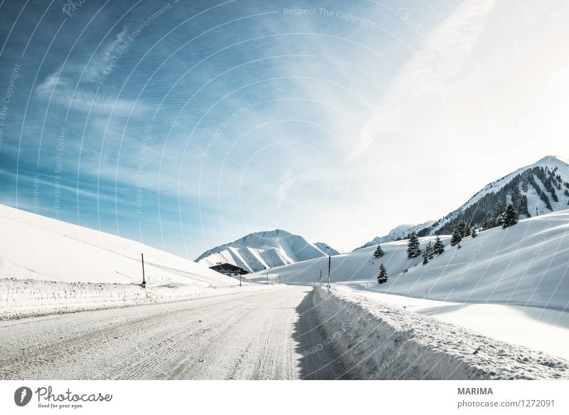Winter landscape in the Alps Mountain Nature Landscape Transport Traffic infrastructure Street Cold Blue White Asphalt mountains hill Germany Frozen Europe