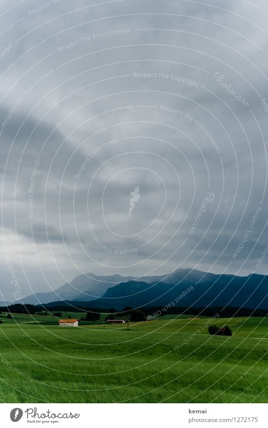 Bavaria Environment Nature Landscape Plant Sky Clouds Storm clouds Sunlight Summer Weather Bad weather Thunder and lightning Foliage plant Agricultural crop