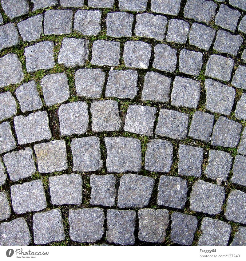 pavement Pavement Gray Square Granite Traffic infrastructure Stone Cobblestones Background picture Detail Section of image