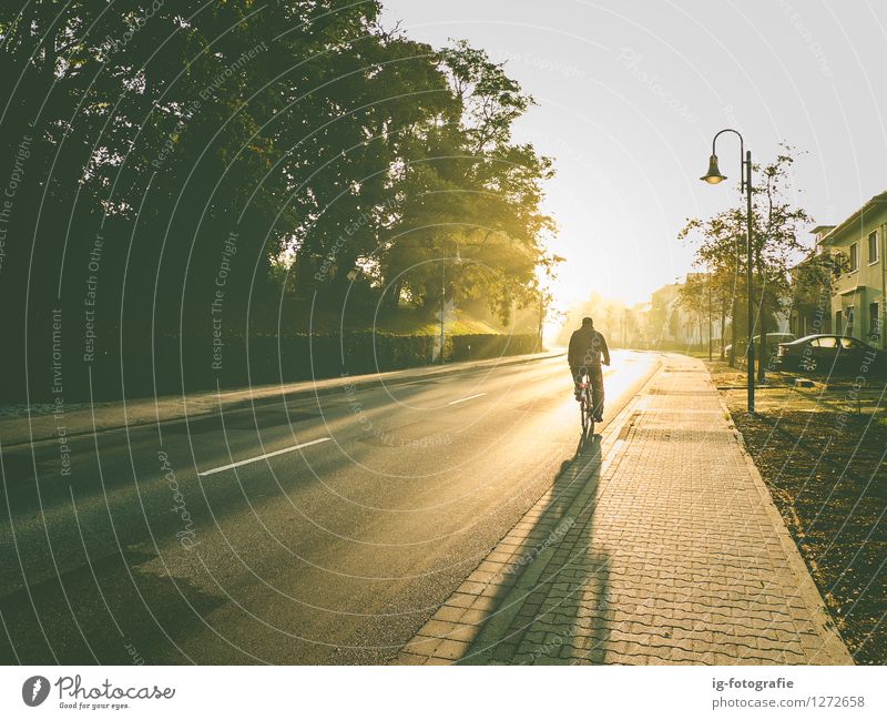 Early morning bike ride in sunrise Vacation & Travel Human being Masculine Man Adults 1 Cycling Street Bicycle Authentic Warmth Soft Emotions Bike Germany
