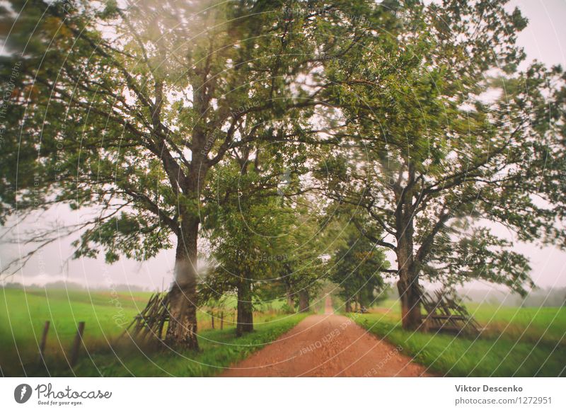 Beautiful light through wet glass on orange road Vacation & Travel Nature Weather Storm Rain Baltic Sea Transport Street Vehicle Car Movement Driving Wet window