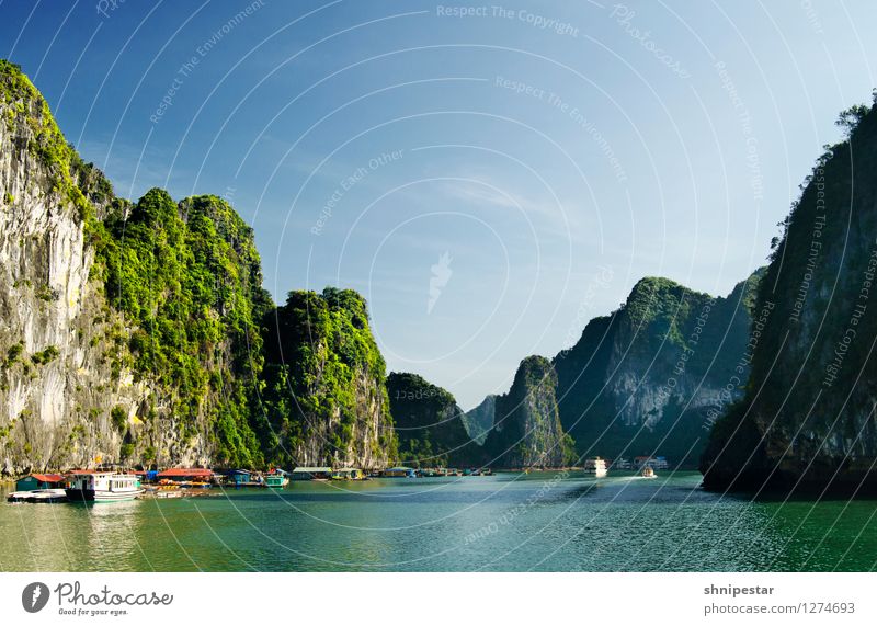 Halong Bay, Vietnam Life Vacation & Travel Tourism Trip Adventure Far-off places Sightseeing Expedition Summer Island Mountain Round trip Vietnamese Environment