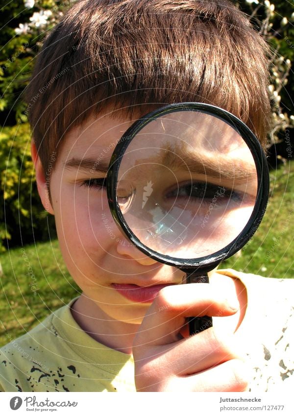 The world in big looks funny Boy (child) Child Magnifying glass Enlarged Playing Skeptical Accuracy Small Large Investigate Agent Tracks Informer Concentrate
