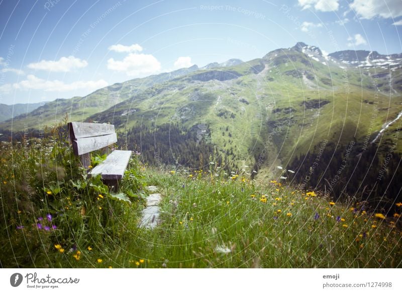 rest Environment Nature Landscape Plant Spring Summer Beautiful weather Meadow Hill Alps Mountain Natural Green Bench Resting place Switzerland Tourism