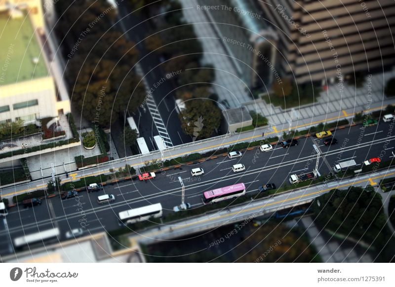 Miniature view: Road from above - Tokyo, Japan Far-off places City trip Sun Beautiful weather Tree Asia Capital city Port City Downtown