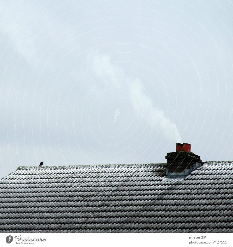 The roof of the world. SECOND Cold Winter Roof Bird Clouds Gray Dreary Lacking Ice Simplistic Bad weather Decent Serene Empty Smoke Heat Loneliness Calm Chimney