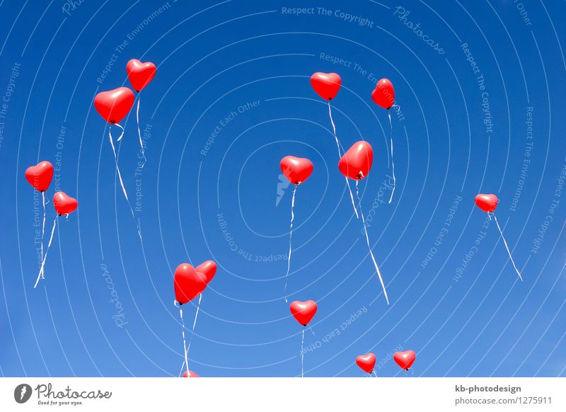 Balloon hearts in the sky Feasts & Celebrations Valentine's Day Mother's Day Wedding Birthday Sign Heart Flying Love Emotions Together Infatuation Romance