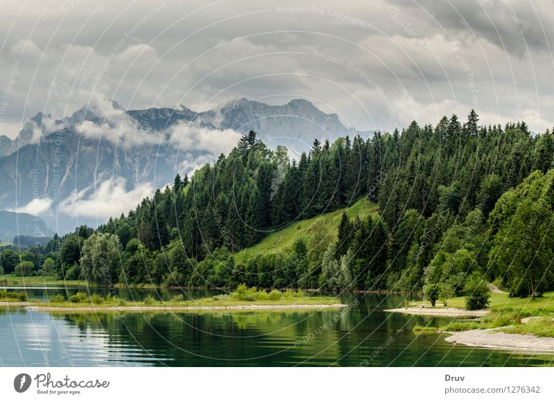 Forggensee, Allgäu Forests and Alpine Peaks Fishing (Angle) Vacation & Travel Summer Summer vacation Mountain Nature Landscape Plant Water Sky Clouds Weather
