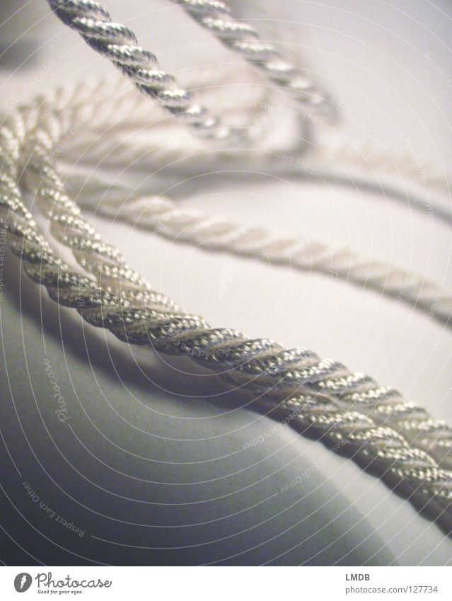 captivating String Coil Rotated Bond White Mother-of-pearl Dazzling Gray Black Undulating Bind fast Attachment Macro (Extreme close-up) Close-up Rope