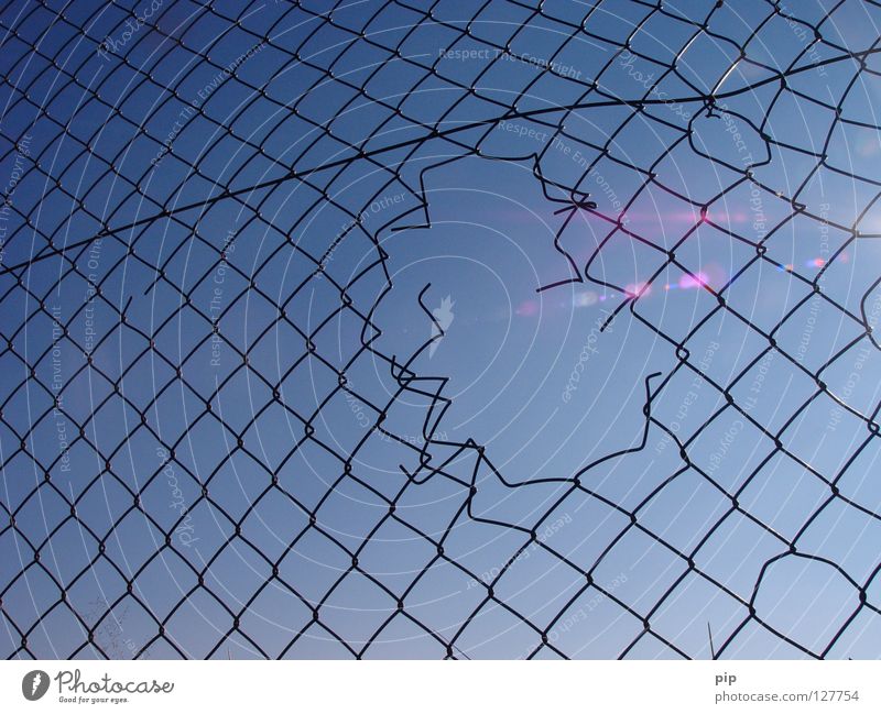 running Net Wire Wire netting Wire netting fence Fence Barrier Border Peace Fold Grating Enclosure Captured Enclosed Cramped Jail sentence Fenced in Pattern