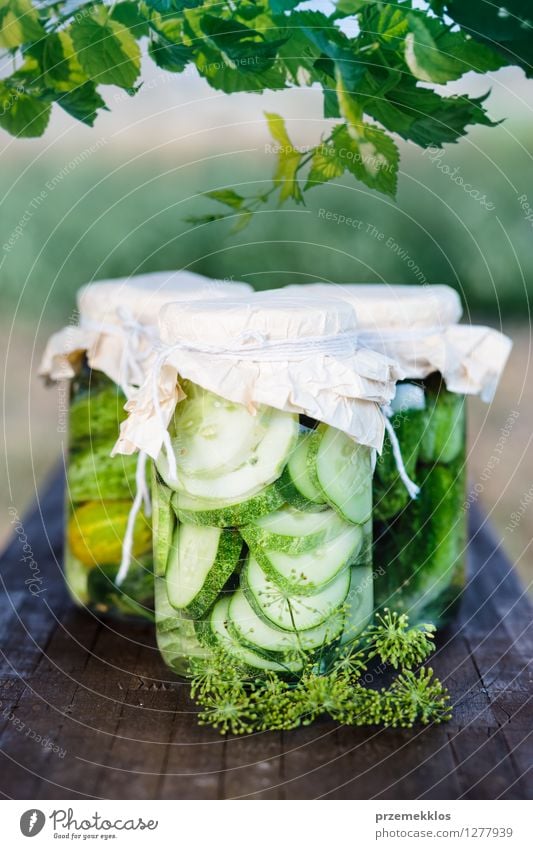 Pickled cucumbers made with home garden vegetables and herbs Vegetable Herbs and spices Vegetarian diet Garden Leaf Fresh Natural Green Bench Canned Dill food
