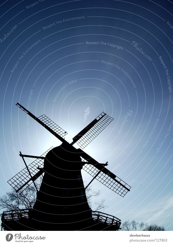 Hidden! Mill Windmill Manmade structures Sun White Black Silhouette Historic Hide Blue Sky Beautiful weather Contrast Shadow