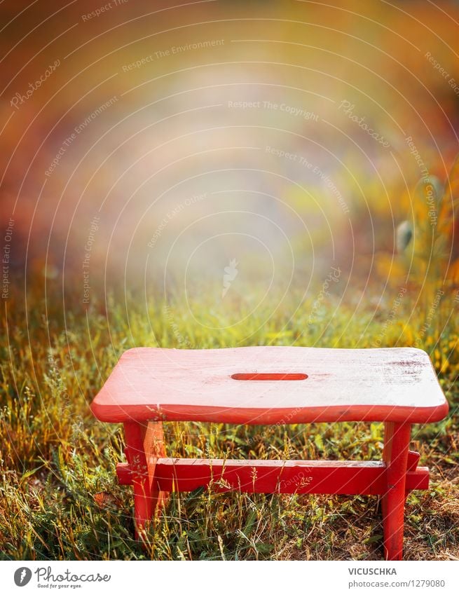 Red stool in autumn garden Style Design Relaxation Camping Garden Nature Plant Sunlight Summer Autumn Beautiful weather Flower Park Retro Background picture