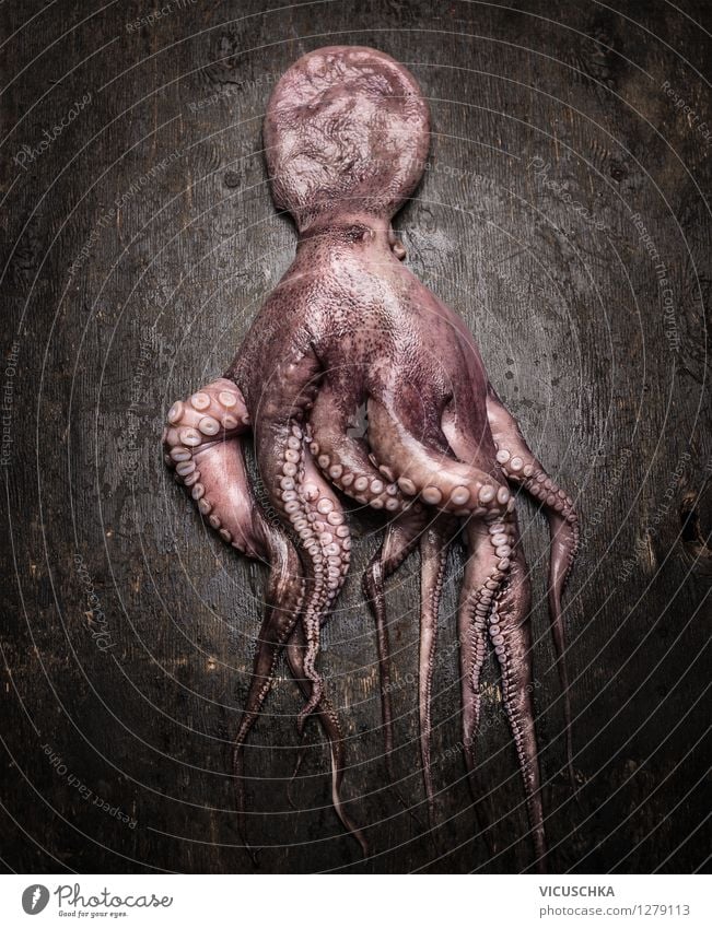 Octopus on a dark wooden table Food Seafood Nutrition Organic produce Vegetarian diet Diet Style Design Healthy Eating Table Kitchen raw Protein entirely Fresh
