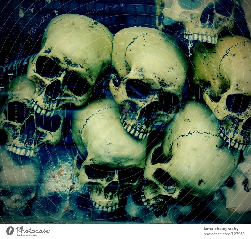 deep. skull Skeleton Brain and nervous system Disastrous Poisoned Drown Ocean Bottom of the sea Algae Creepy Horror film Fear Nightmare Grave Cemetery Dangerous