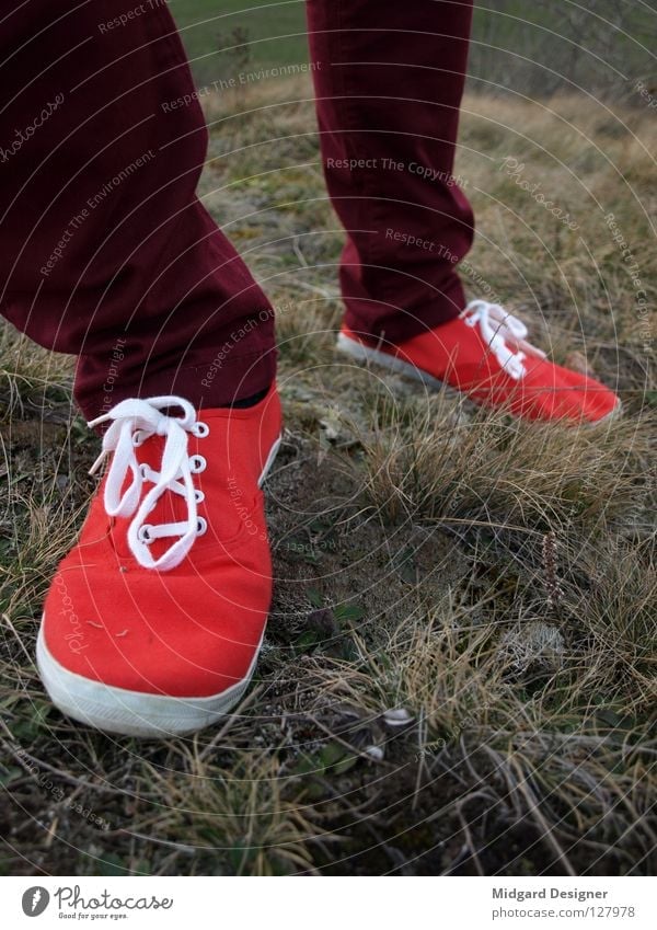 red Winter Hiking Human being Young woman Youth (Young adults) Life Legs Feet 1 18 - 30 years Adults Grass Pants Footwear Movement Going Walking Red Colour