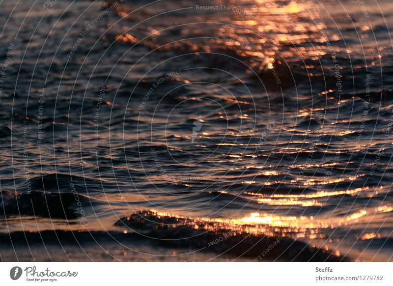 Last evening at the Baltic Sea Baltic beach Baltic coast polish Baltic Sea Sunset Water golden light Mood lighting light reflexes certain light beautiful light