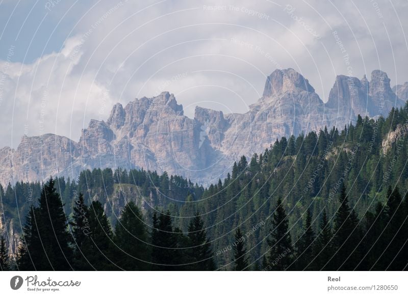 Light Dark Graduation Environment Nature Landscape Elements Earth Sky Clouds Summer Beautiful weather Tree Coniferous forest Forest Rock Alps Mountain Dolomites