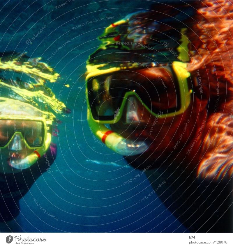 LIFE AQUATIC Oceanograph Diver Trip Diving goggles Diving equipment Snorkeling Reflection Light Yellow Man Woman Fluid Submarine Science & Research Water