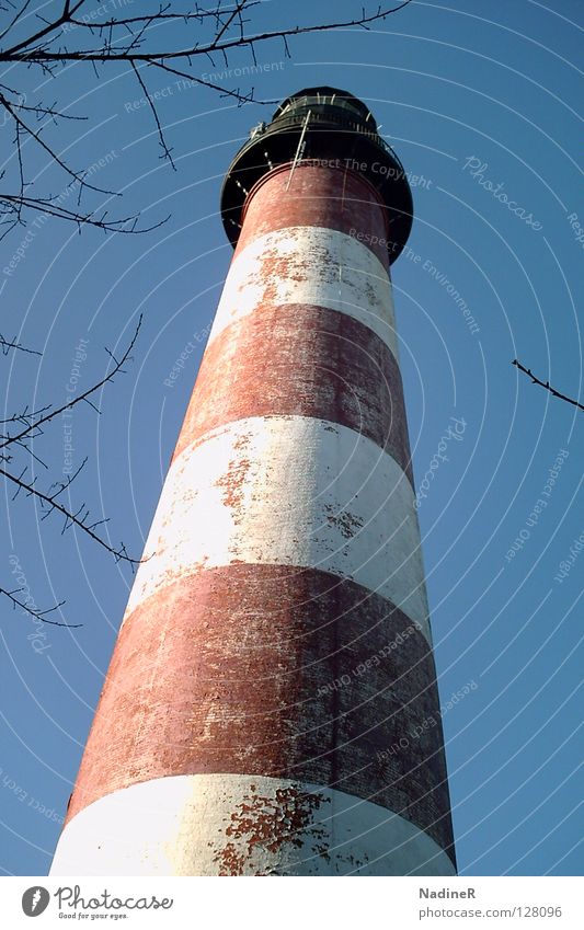 sublimeness Lighthouse Stripe Blue sky Sky Maryland Landmark Monument red white tree branches assateague USA Chincoteague
