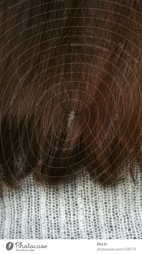 The brunette (noun, feminine) Hair and hairstyles Feminine 1 Human being Brunette Long-haired Natural Soft Brown White Tip of the hair Women´s hair Dark-haired