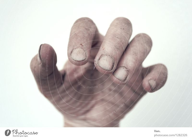 worker's hand Hand Fingers 30 - 45 years Adults Earth Brown Dirty Fingernail Work and employment Colour photo Subdued colour Close-up Copy Space top