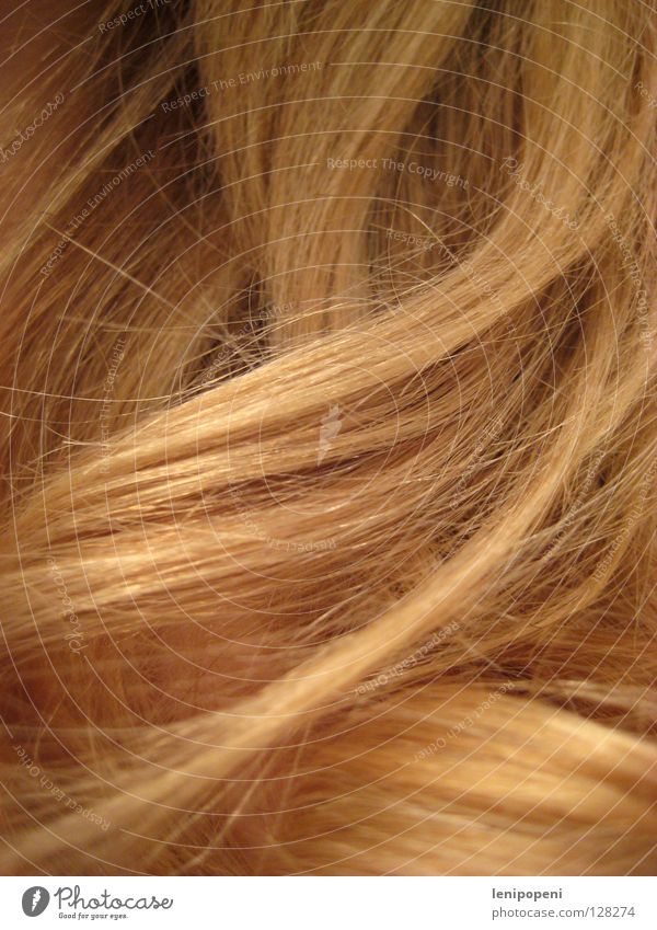 #FFCC66 Blonde Curl Soft Long Waves Wheat Healthy Physics Brown Feminine Glittering Shampoo Style Styling Muddled Hair and hairstyles Summer Beautiful Colour