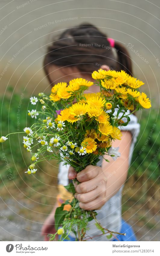 cute little girl holding a bouquet of wildflowers Lifestyle Elegant Beautiful Healthy Health care Children's game Vacation & Travel Adventure Garden Human being
