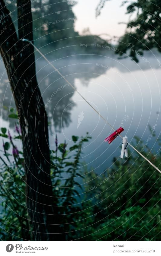 0815 AST | Washing place Environment Nature Landscape Animal Water Sunrise Sunset Summer Beautiful weather Fog Tree River Clothesline Clothes peg Hang Fresh