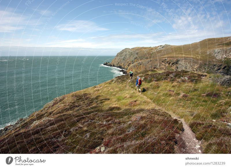 walking Hiking Man Adults 2 Human being Landscape Elements Beautiful weather Rock Coast Ocean Anglesey Wales Lanes & trails Far-off places Future Colour photo